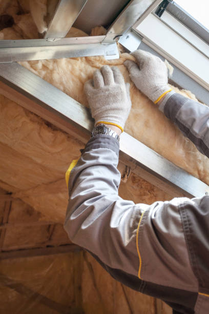 Best Residential Insulation in Germantown Hls, IL