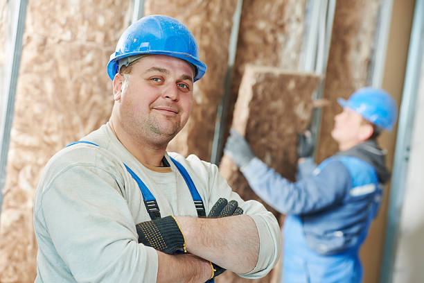 Best Insulation Materials and Products in Germantown Hls, IL